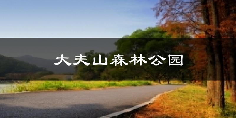 大夫山森林公園氣溫