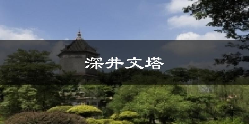 深井文塔氣溫