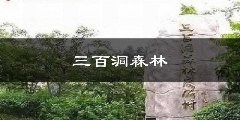 三百洞森林氣溫