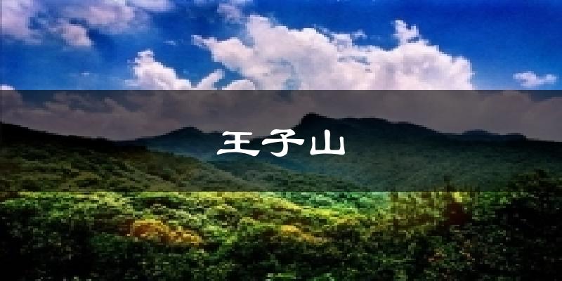 王子山氣溫