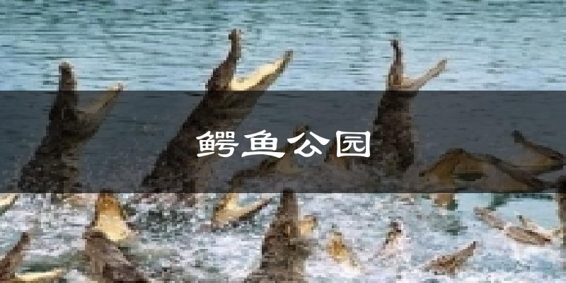 鱷魚公園氣溫