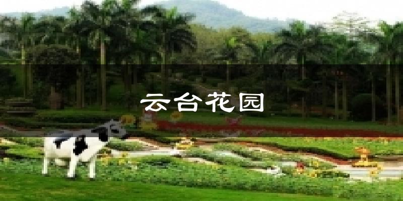 云臺花園今日天氣