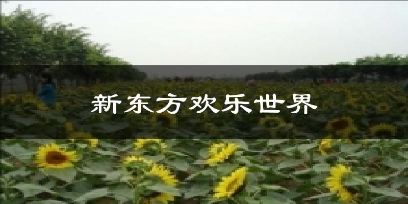 新東方歡樂(lè)世界今日天氣