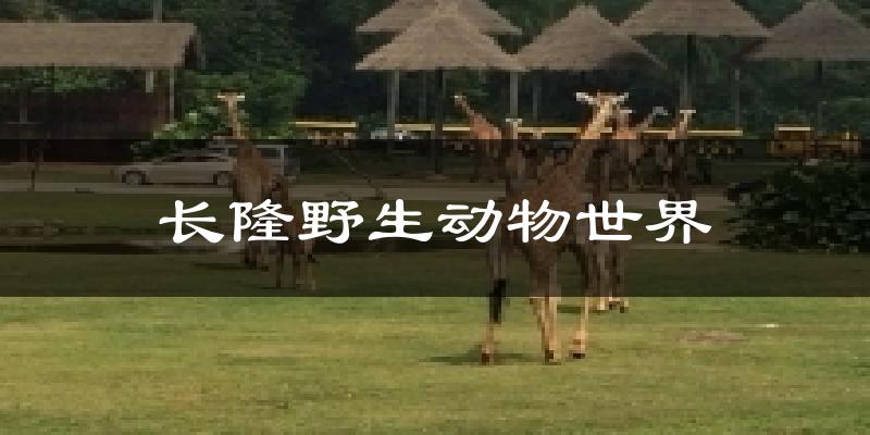 長隆野生動(dòng)物世界今日天氣
