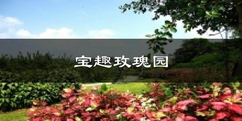 寶趣玫瑰園今日天氣
