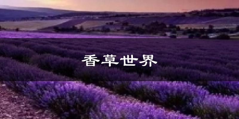 香草世界今日天氣