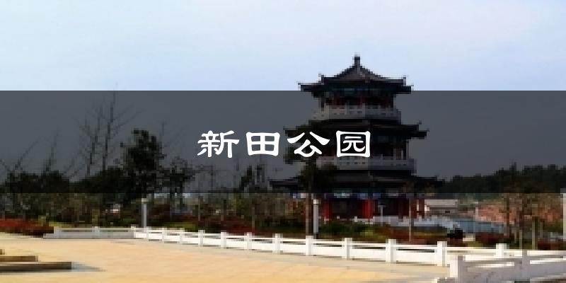 新田公園氣溫