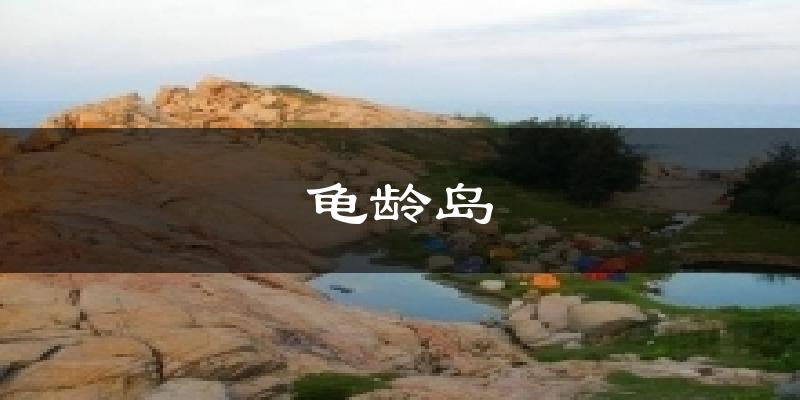 龜齡島氣溫